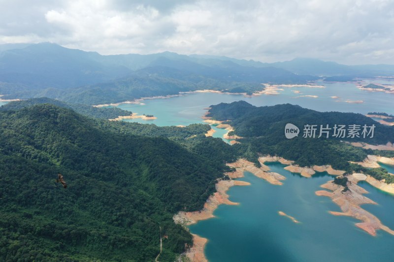 河源万绿湖 湖泊 千岛湖