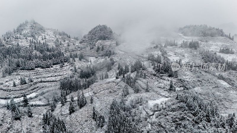 重庆酉阳：大雪纷飞赏雪忙