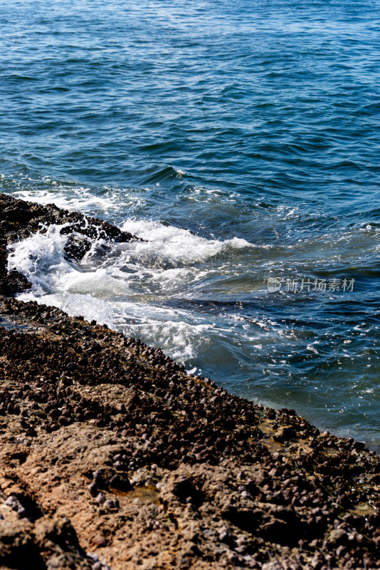 海边的风景