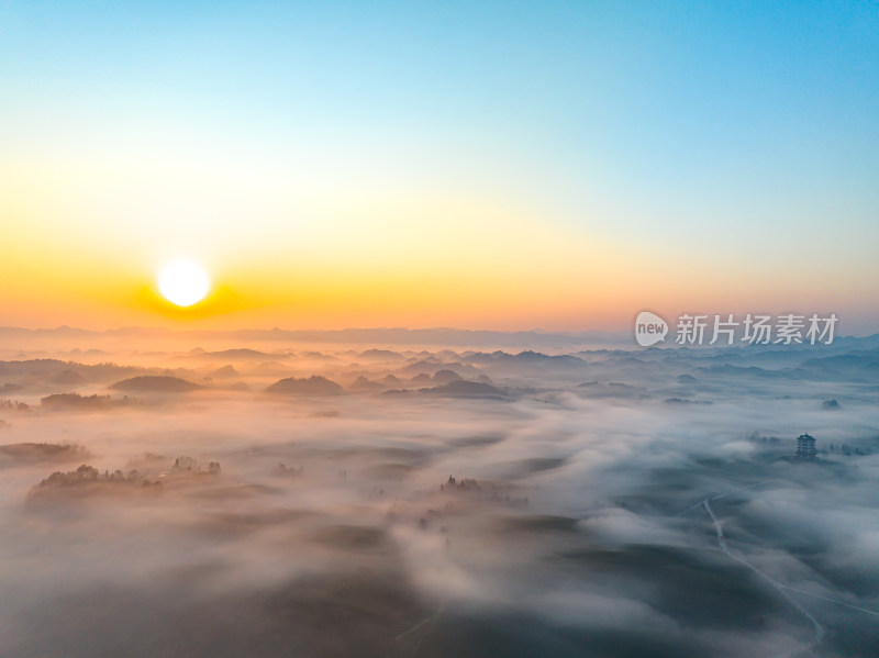 贵州遵义湄潭茶海