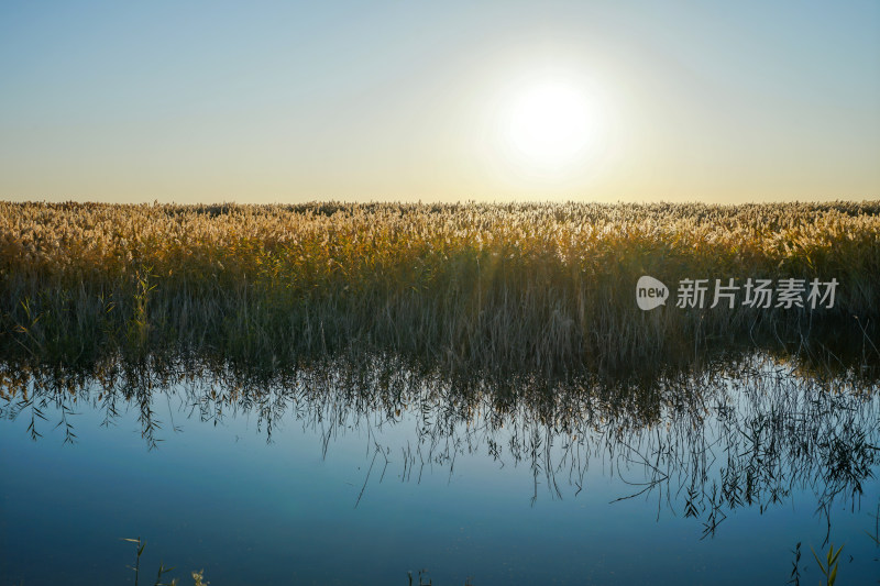 内蒙古额济纳，日出时分，居延海与芦苇荡