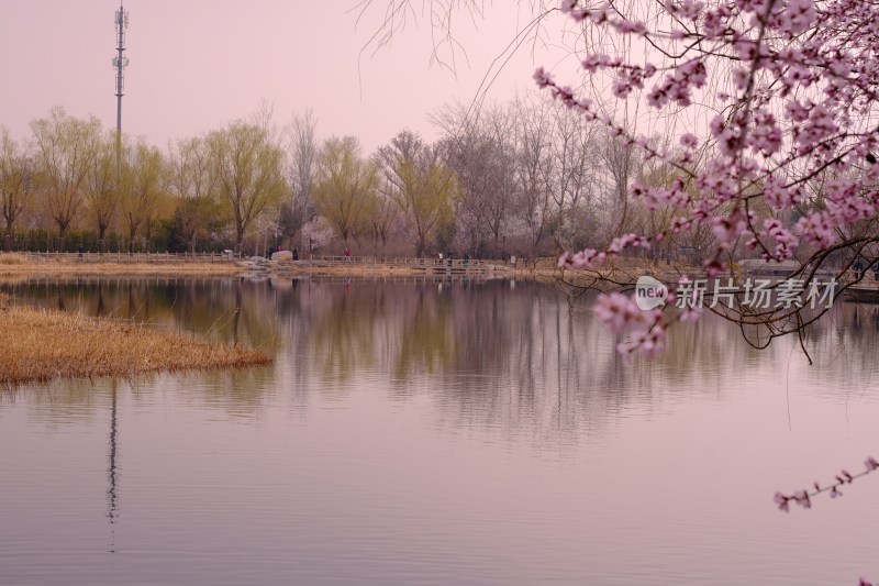 风景系列