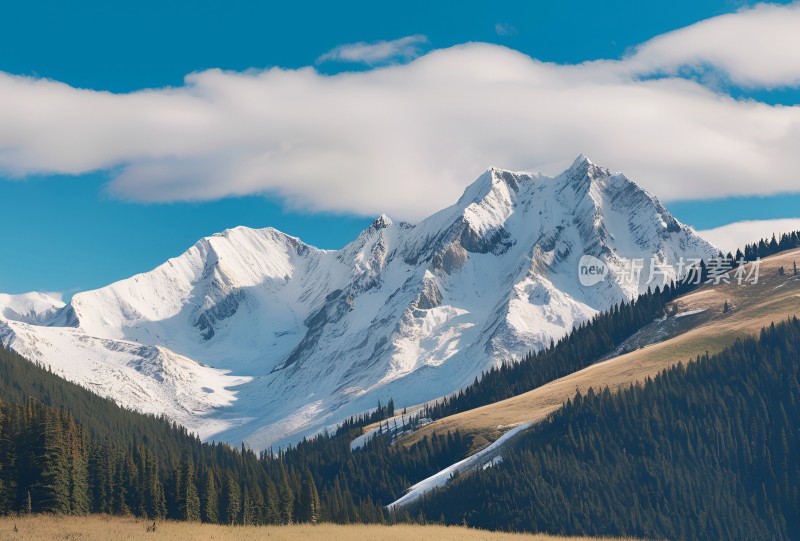 雪山高原草原森林风景