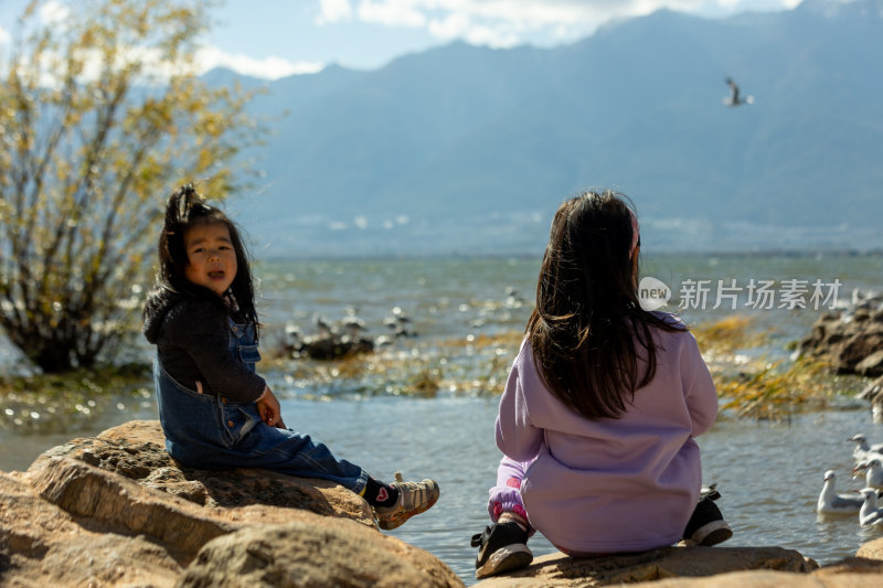 湖边喂海鸥的小女孩