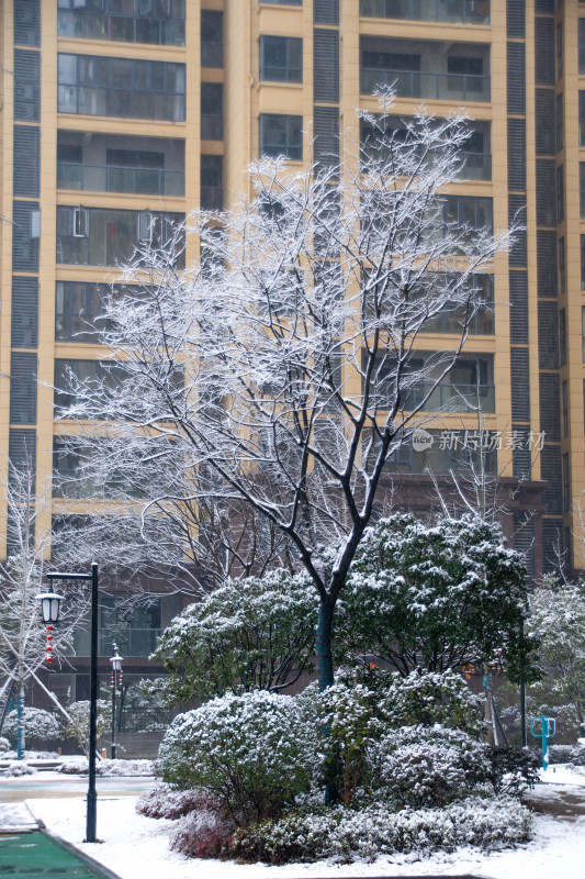 冬日雪景中的城市一角