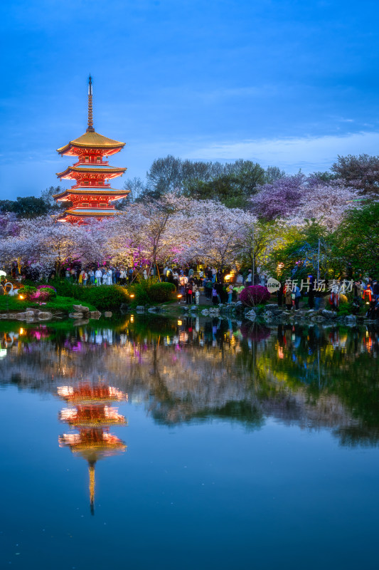 湖北武汉东湖樱园春季夜景风光