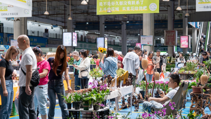 云南昆明斗南花市吸引大量游客前来买花