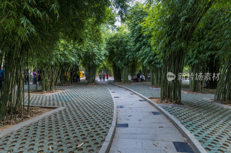 武汉江夏新世纪公园风景