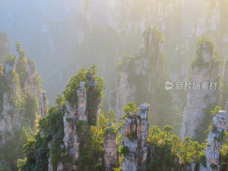 中国湖南张家界国家森林公园旅游风光