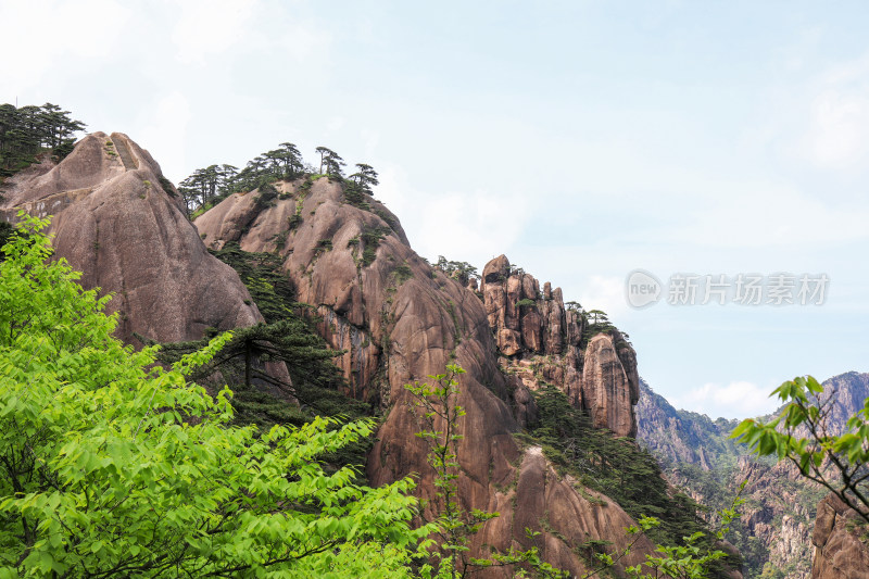 春天黄山自然风光