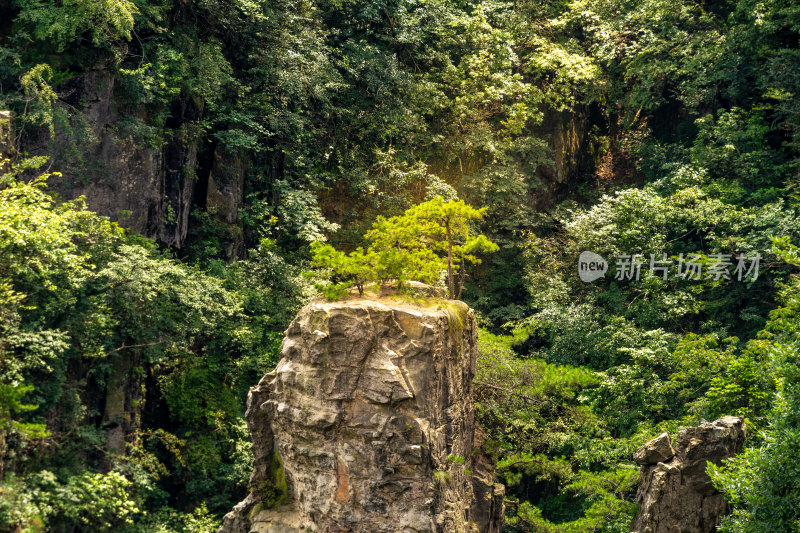 中国湖南张家界景区奇特山峰与茂密森林