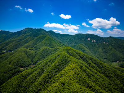 祖国大好河山南岳衡山竹林航拍图