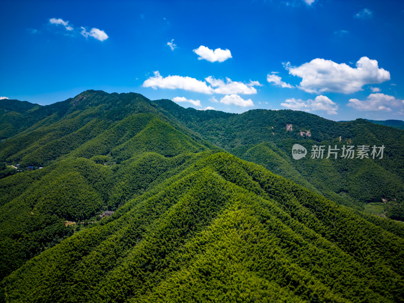 祖国大好河山南岳衡山竹林航拍图