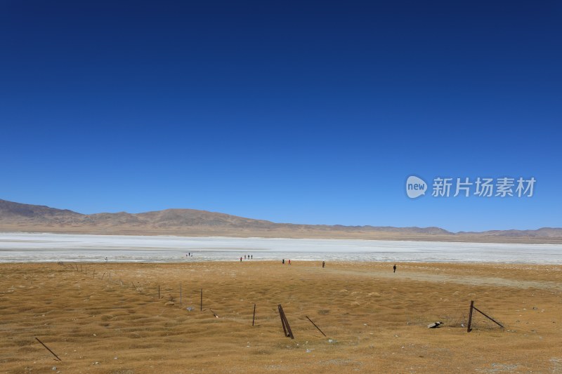 中国西藏蓝天映衬下的田野景色