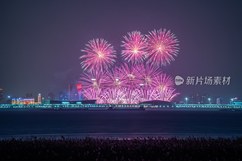 新年夜空中绽放的烟火