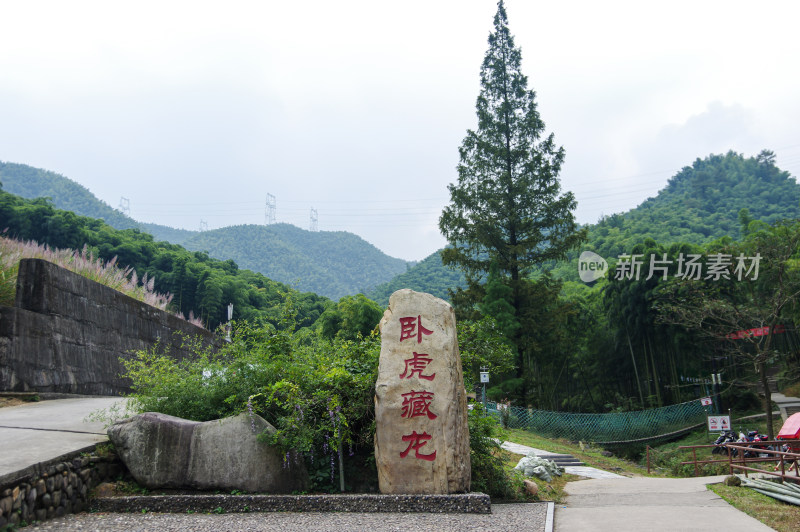 杭州大竹海风景区竹林风景