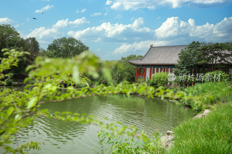 北大校内风景