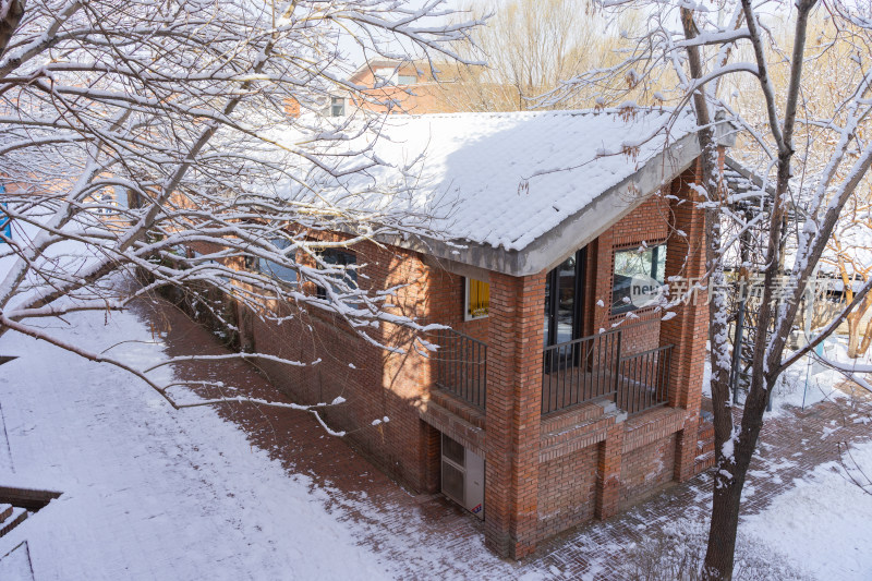 冬季红砖建筑雪天屋顶树枝