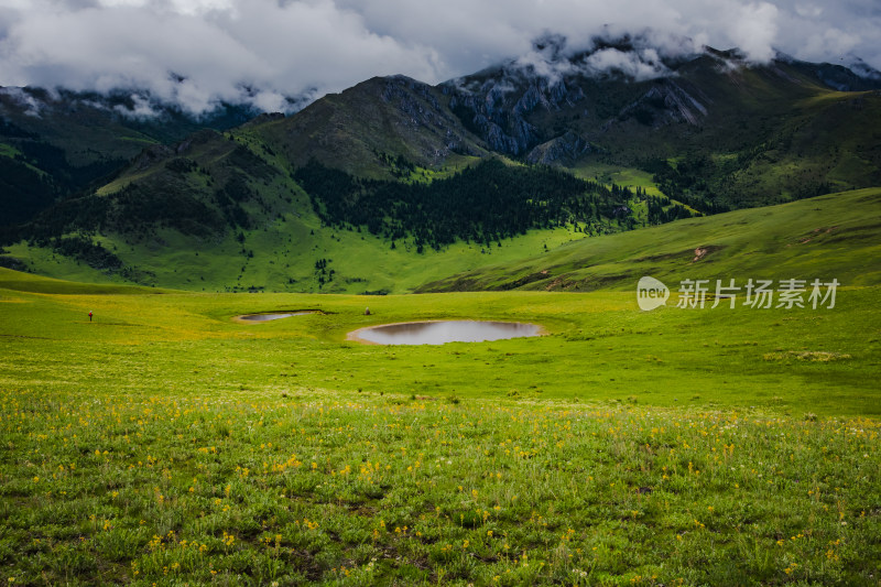 川西格聂夏天山脉 山峦 山峰 草原牧场