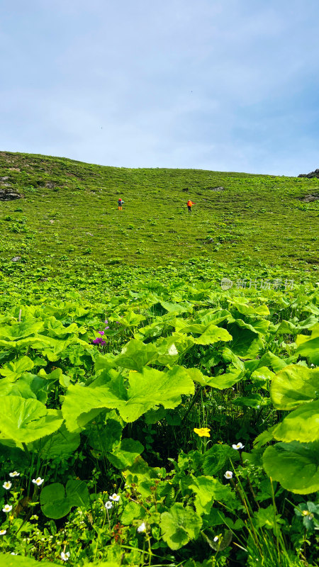 夏季高山草场与远方的登山者