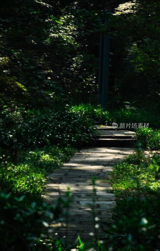 长沙风光  长沙街景 长沙城景  自然风景