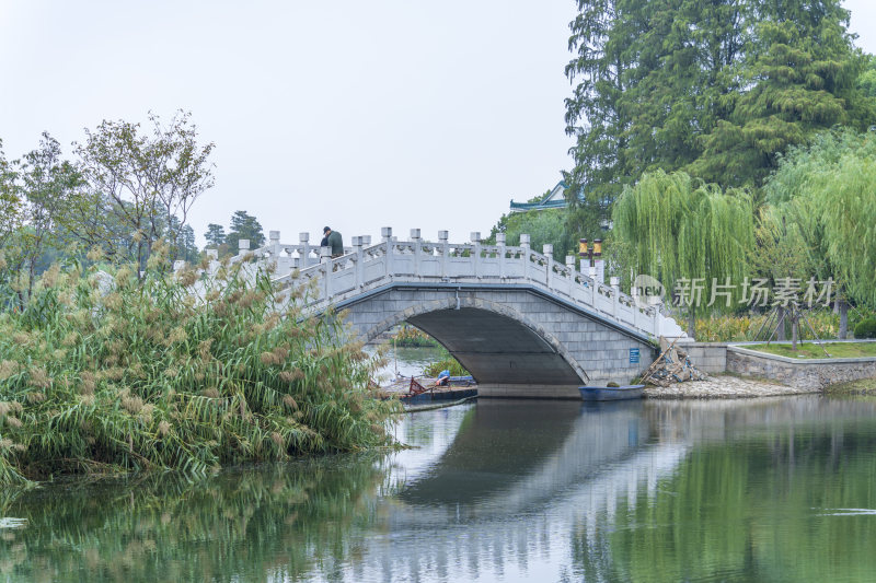 武汉东湖国家湿地公园风光