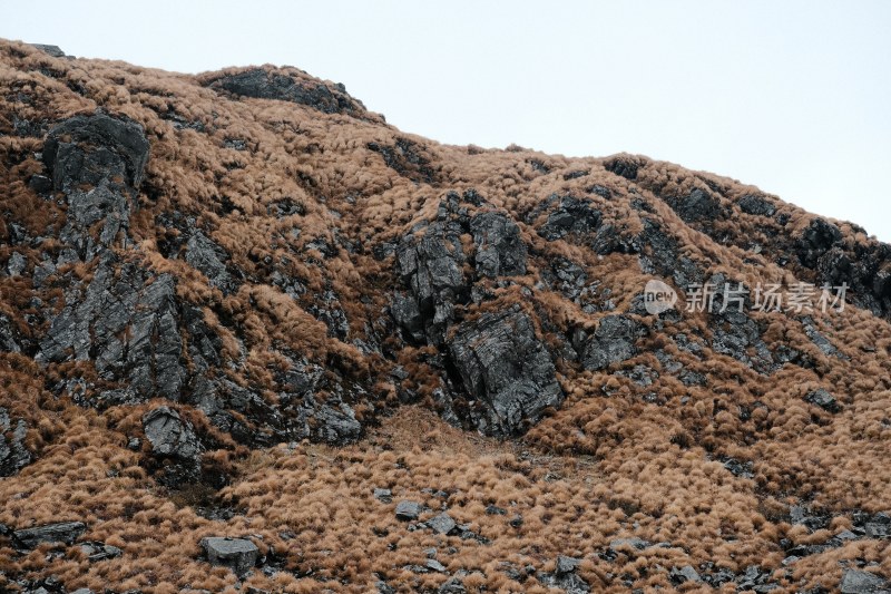 山坡岩石与枯黄植被景观