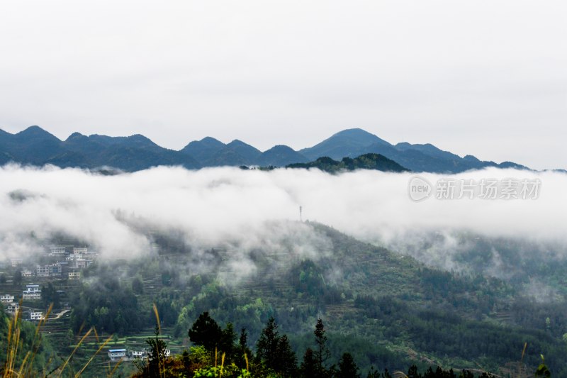 重庆酉阳：青山雾漫别样美