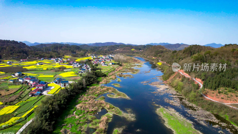 山川河流油菜花航拍