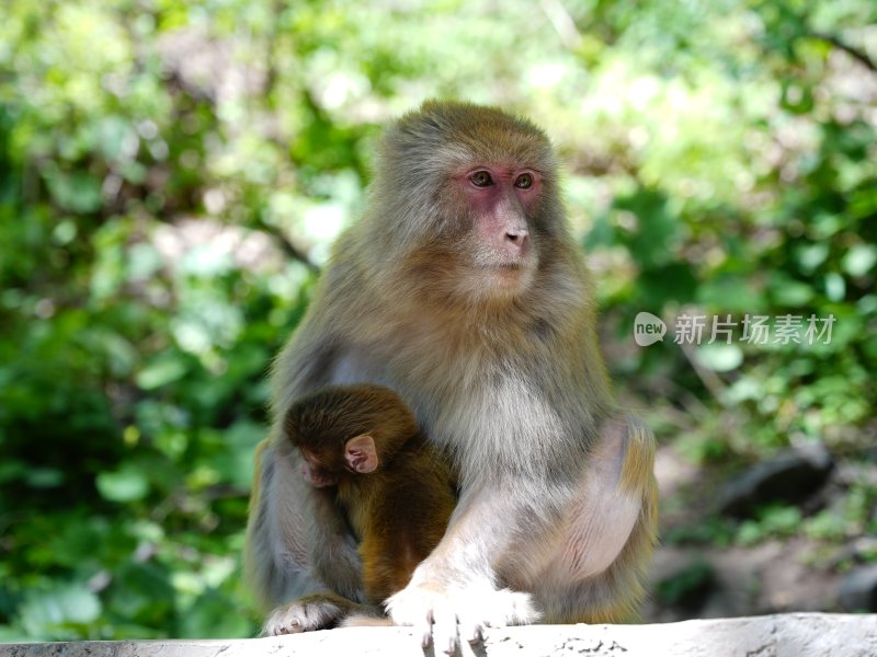 山西阳城 蟒河