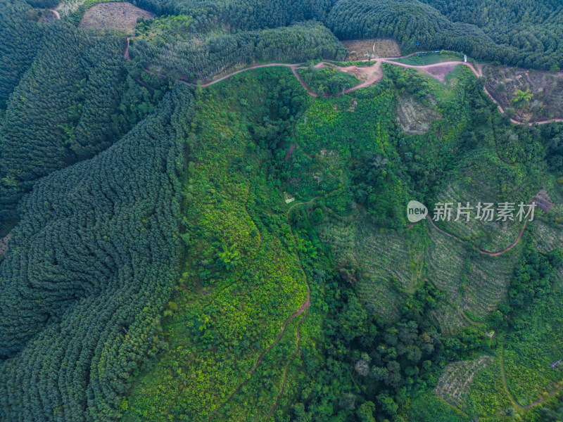 航拍绿意盎然的广袤山林自然景观