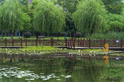 武汉关山荷兰风情园风景