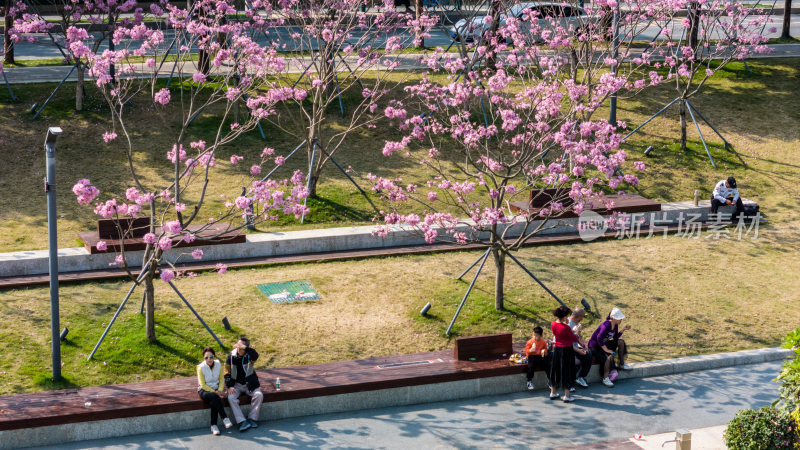 深圳市南山区后海中心河公园