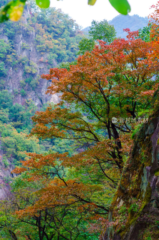 河南省洛阳白云山九龙潭秋天风景