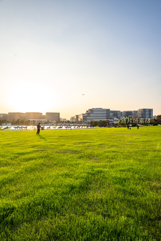 上海闵行文化公园大草坪黄昏日落景观