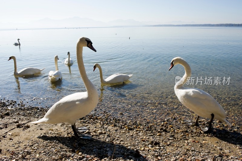 德国慕尼黑周边基姆湖(Chiemsee)