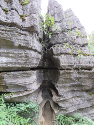 湖北恩施梭布垭石林旅游风光