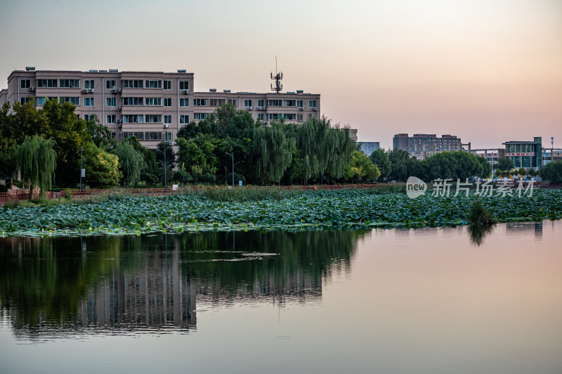 山东德州运河公园龙运湖公园景点景观