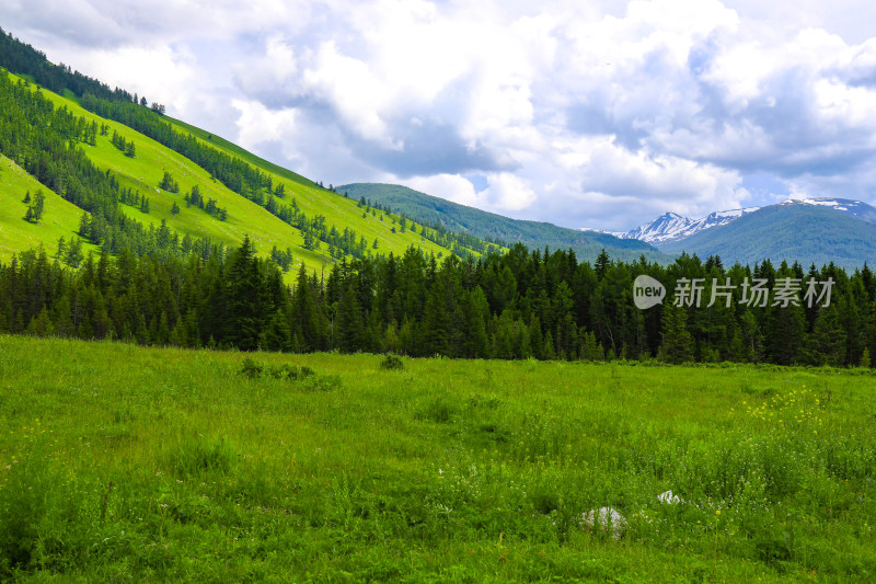 夏天新疆阿勒泰景色