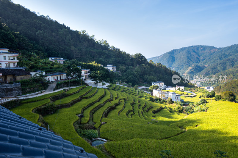 山间梯田村庄美景