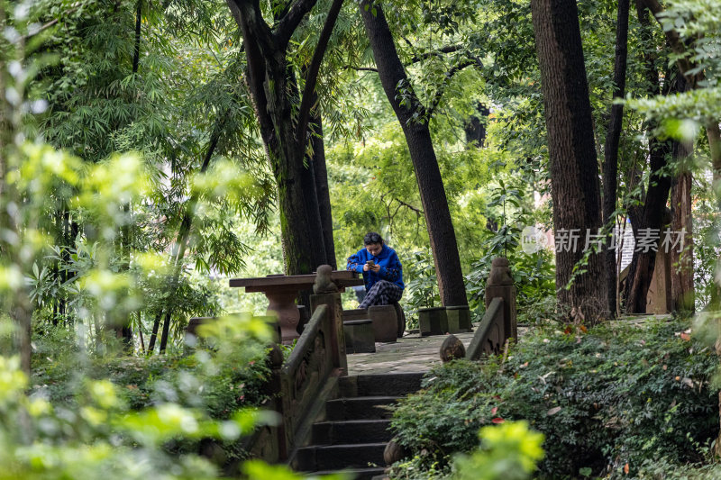 成都青羊宫