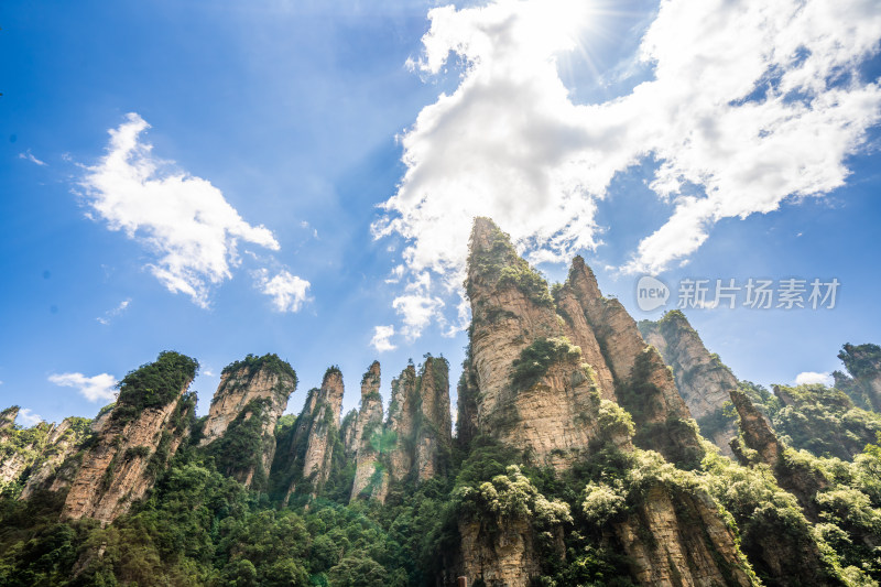 中国湖南张家界景区奇特山峰与茂密森林