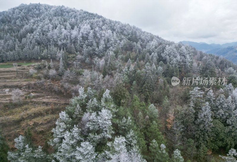 重庆酉阳：小界山上的第一场雪