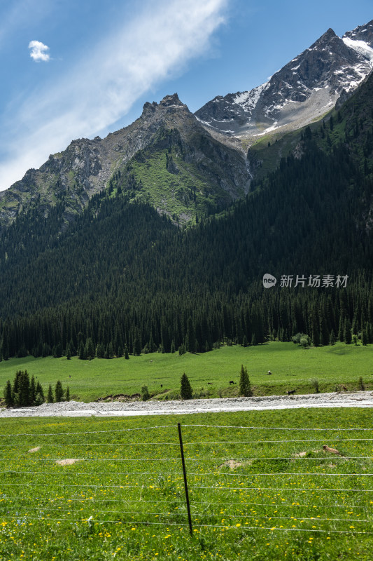 昭苏夏塔景区