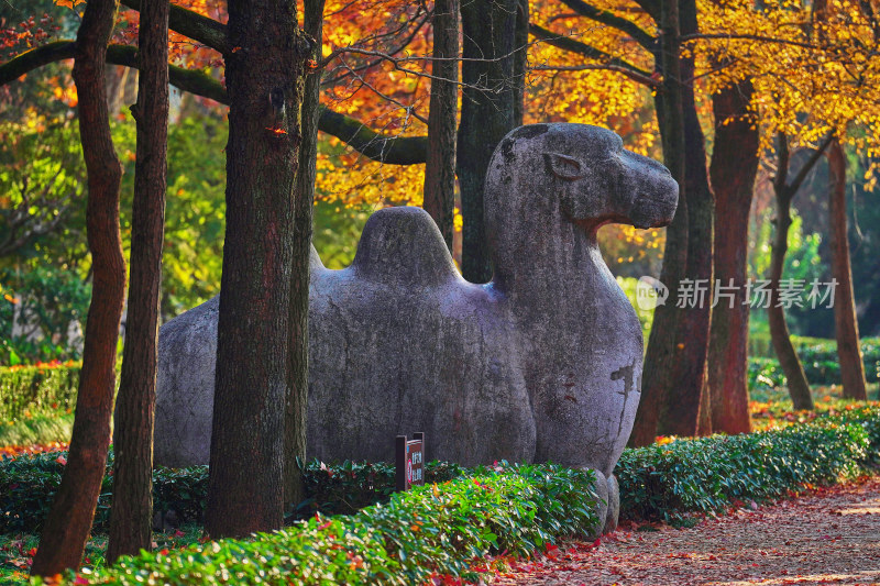 南京钟山石像路