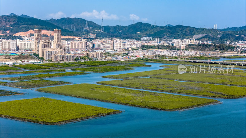 惠州市盐洲海洋湿地公园-红树林航拍