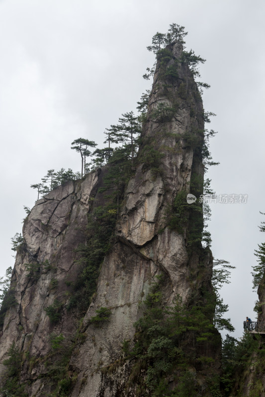 云海中的大明山