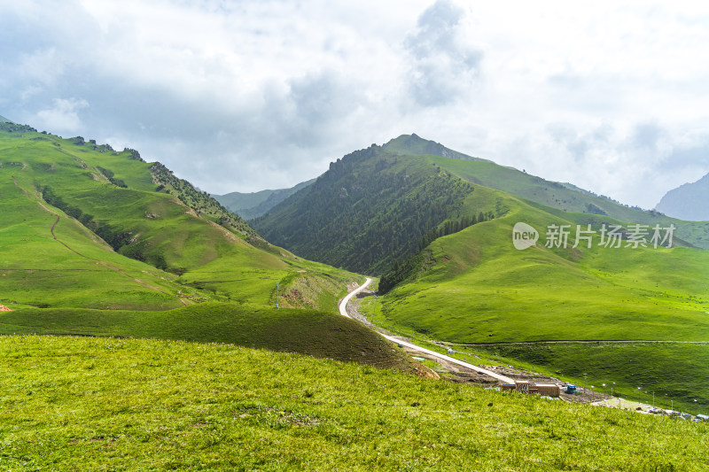 夏季青海祁连山高山草原牧场与祁连雪山