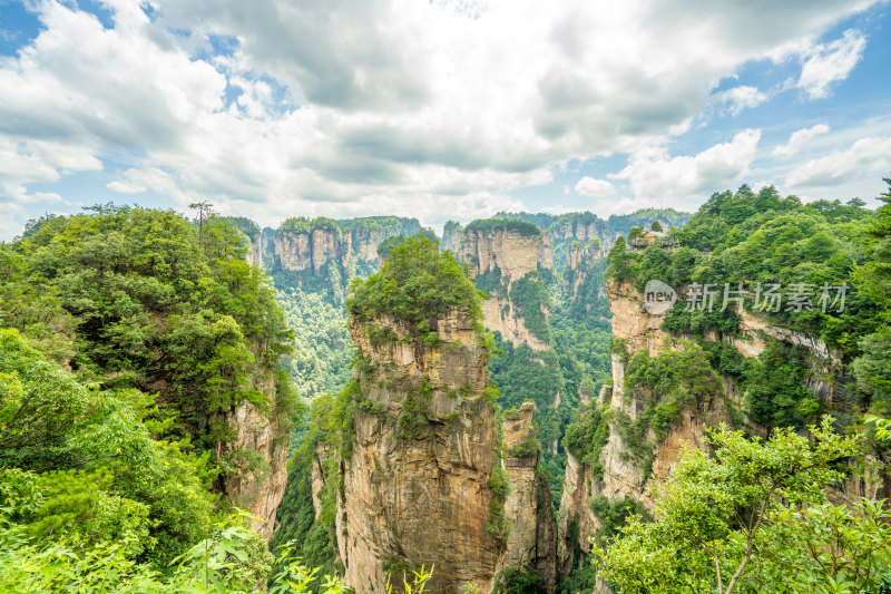 中国湖南张家界景区奇特山峰与茂密森林