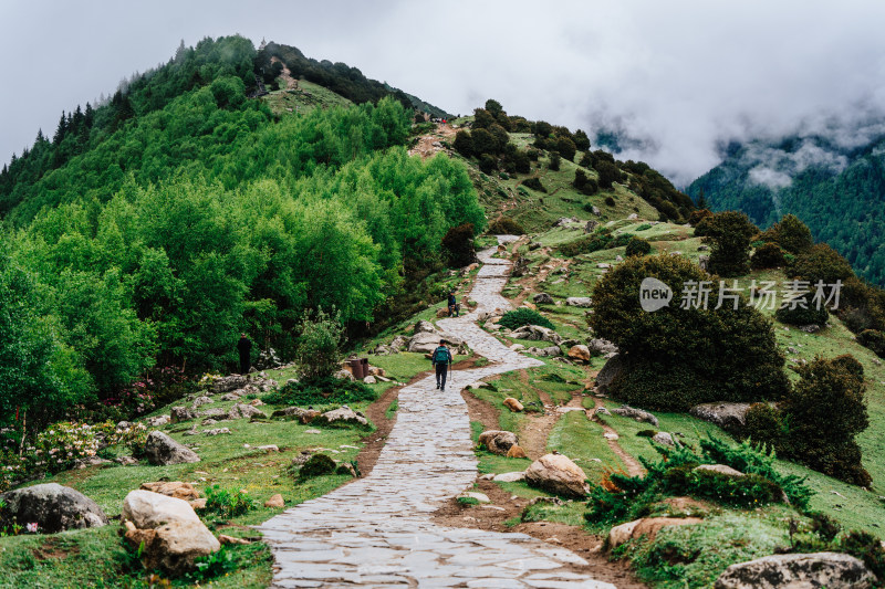 阿坝州四姑娘山海子沟